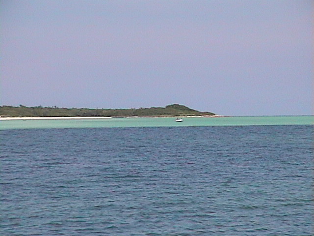 dsc00849.jpg