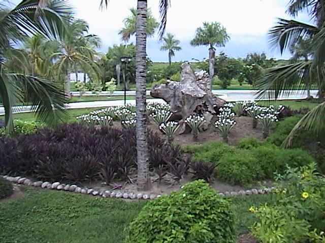 garden-front-of-resort.jpg