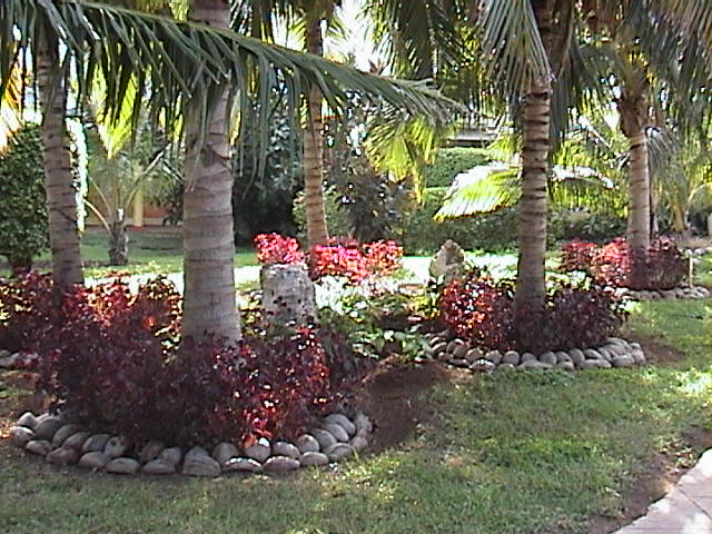 mcggarden.jpg